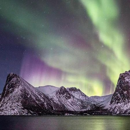 Senja Living Aparthotel Stonglandseidet Exterior foto