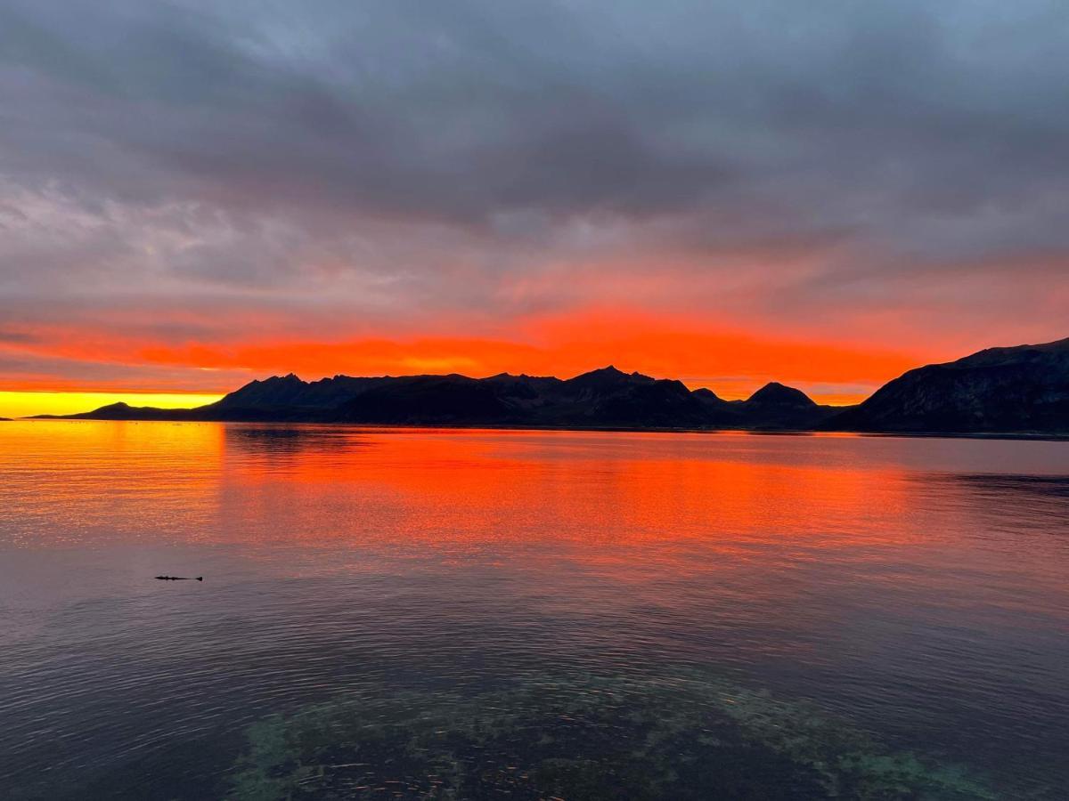 Senja Living Aparthotel Stonglandseidet Exterior foto