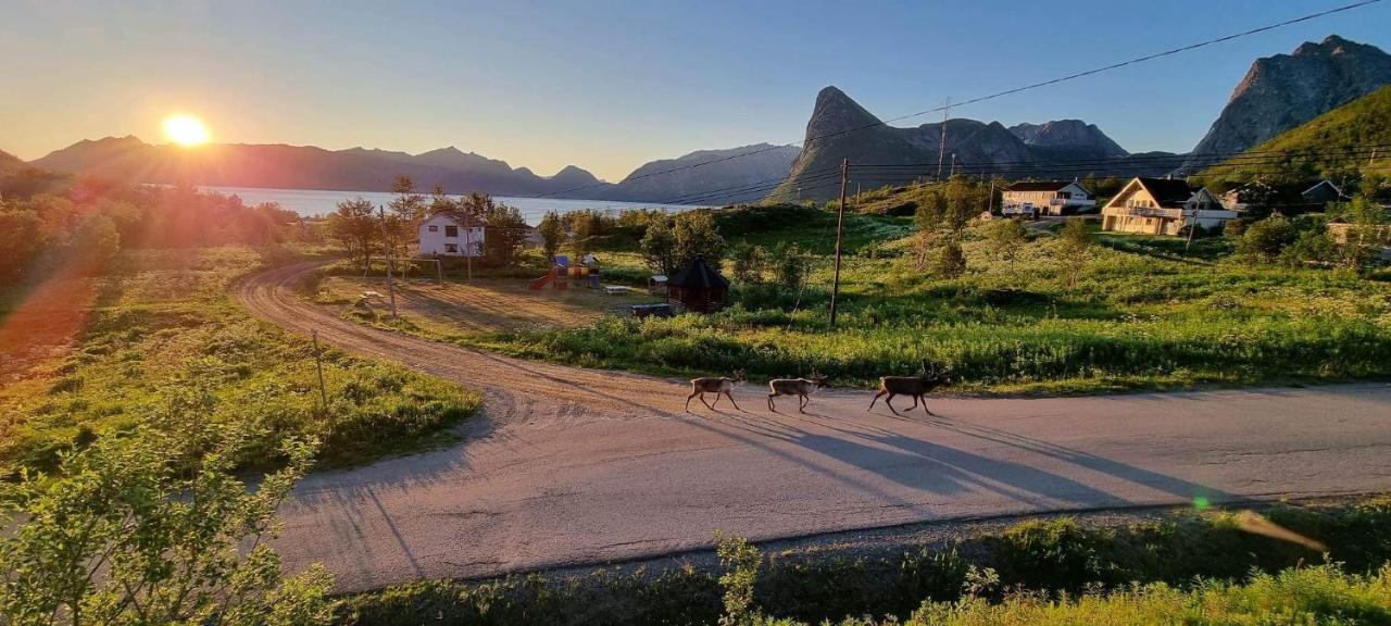 Senja Living Aparthotel Stonglandseidet Exterior foto