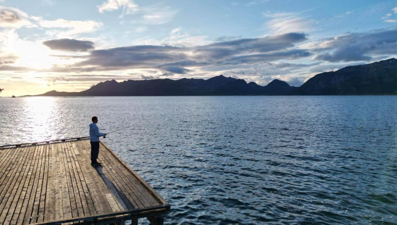 Senja Living Aparthotel Stonglandseidet Exterior foto