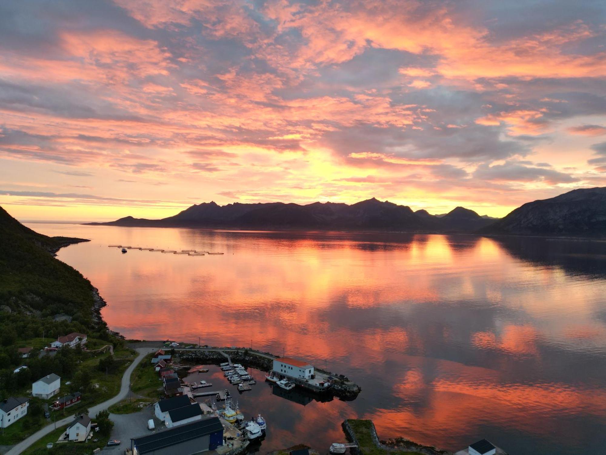Senja Living Aparthotel Stonglandseidet Exterior foto
